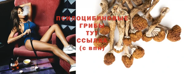 амф Балахна